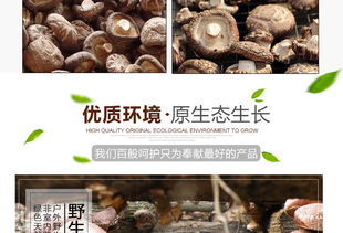 福建特产富农园香菇 品质冬菇的干货魅力与批发优势