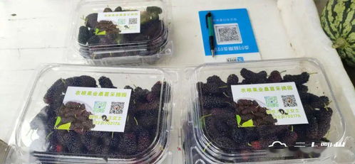 鄂城区食用农产品进入“带证上市”时代，批发市场安全监管再升级