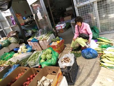 暑期社会实践 | “融宁乡音小分队”寻访农产品批发中心，探索旅顺口区新发展