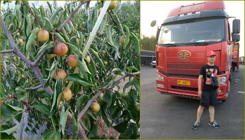 留坝县食用菌标准化生产技术培训助力农产品批发产业升级